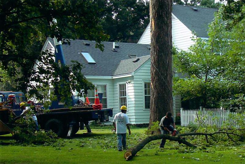 DeMar Tree Service & Landscaping - St. Charles, IL - Slider 6