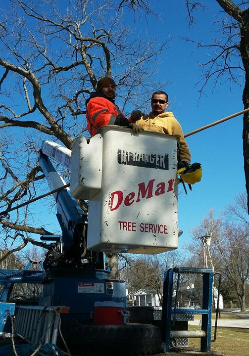 DeMar Tree Service & Landscaping - St. Charles, IL - Slider 2