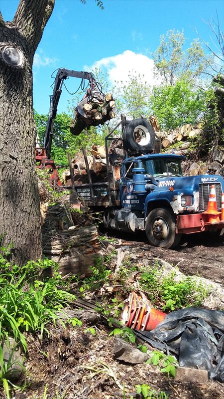 DeMar Tree Service & Landscaping - St. Charles, IL - Slider 1